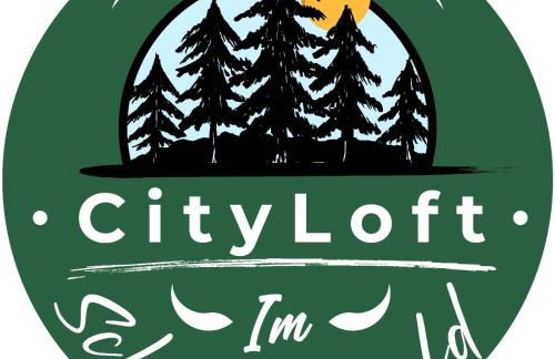 Schwarzwald City Loft 1 - Foto 22