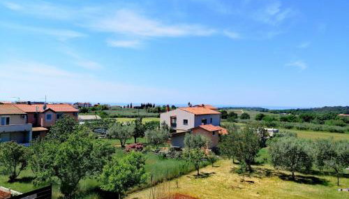 7 PALMI Novigrad - Foto 4