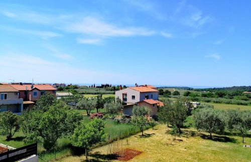 7 PALMI Novigrad - Foto 4