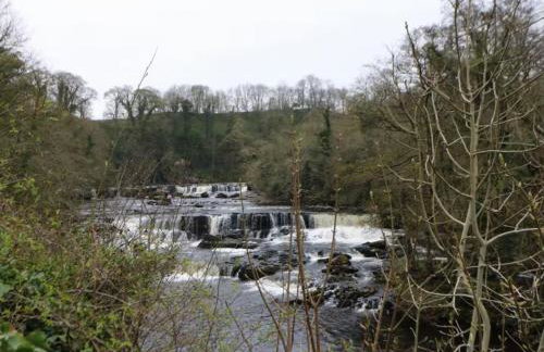 Bumblebee Cottage, Aysgarth Falls - Foto 11