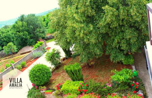 Apartment Amalia - Foto 7