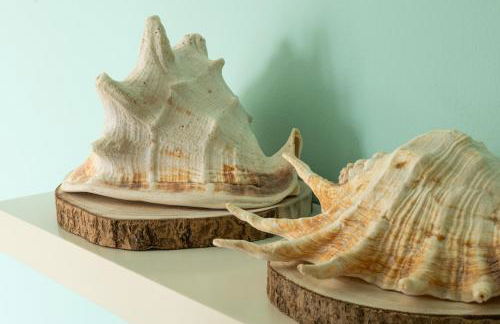 Pé na Praia da Foz - Foto 12