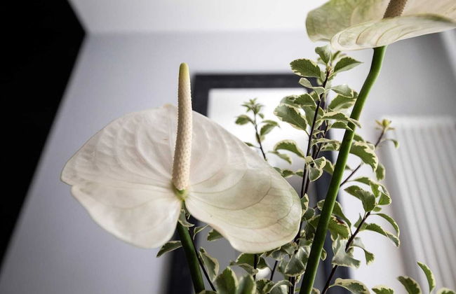 Affittacamere I Canneggiatori - Foto 32