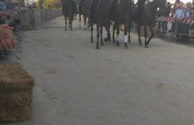 Sa Mendula - Foto 12