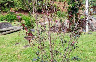 Sitio Vida - Foto 15