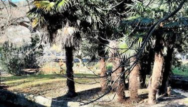 Appartement Au Murmure des Eaux à Fontaine-de-Vaucluse - Foto 2, Garden