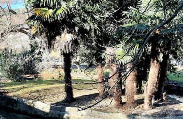 Appartement Au Murmure des Eaux à Fontaine-de-Vaucluse - Foto 2