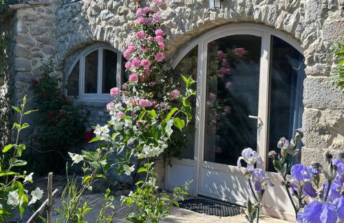 Domaine Mont saint juan - Photo 50