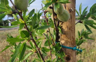 Quinta da Belavista - Foto 32