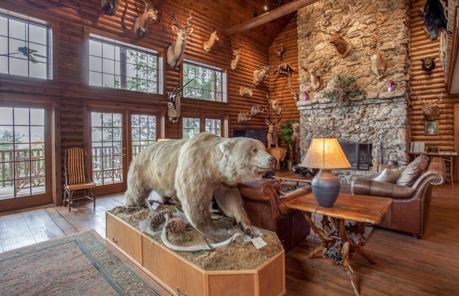 The Village At Indian Point Resort - Foto 4