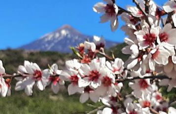 Villa ARTE - Foto 66