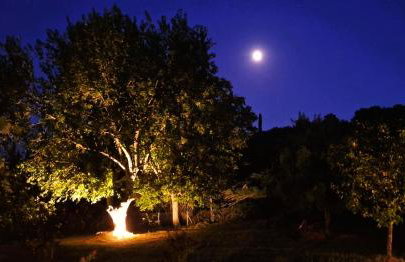 A Sense of Calm & Relaxation - Foto 24