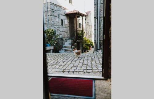 Casa Oeste - Photo 34