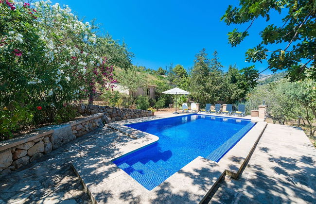 Sa Tarongera in Andratx - Foto 24