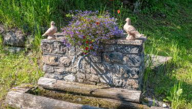 Superbe ferme rénovée en chalet de luxe en PLEINE NATURE - Foto 5