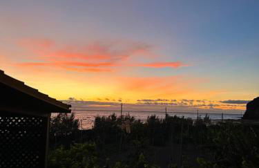 Apartamentos Buen Leon - Foto 14