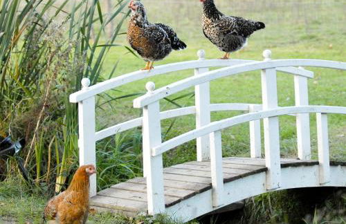 The Lodge At The Lake House - Foto 29