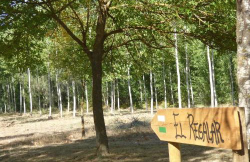 Casa galana - Foto 57