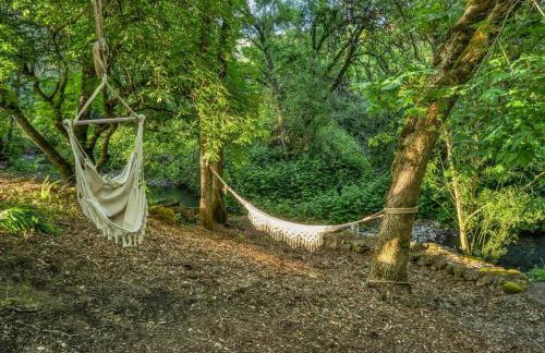 The Calistoga Cottage Wooded And Sunny 5 Mins To Downtown - Foto 47