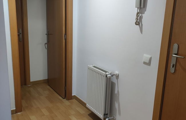 HIDALMEN Arte Rupestre - Photo 1