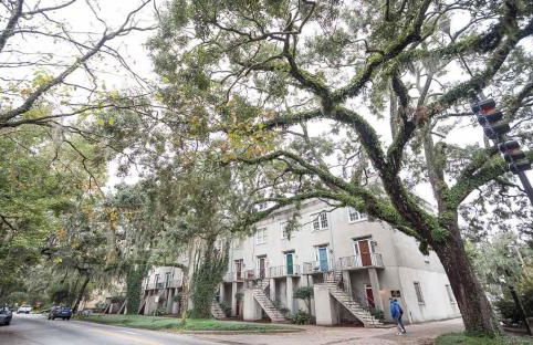 Lynwood Collection on Forsyth 6A by Lucky Savannah - Foto 34