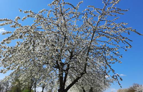 Auszeit am Fähranleger - Photo 25