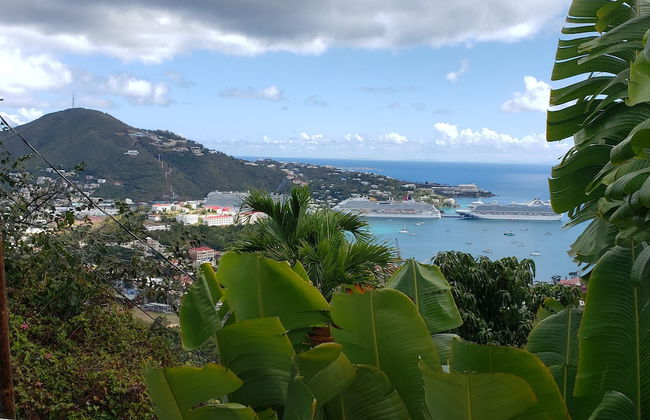 Little Indigo Apartments - Photo 34