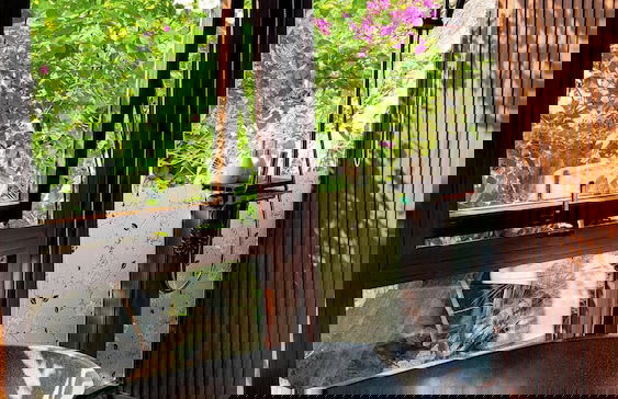 Fairy Mountain Retreat - Foto 77