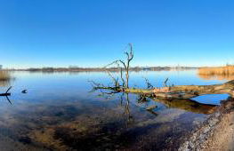 Sunlit Garden - Ruhig am Wald nahe Warnow Rostock - Kamin - Foto 28