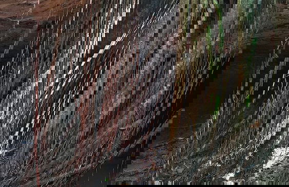 finca recreacional la fortaleza - Foto 19