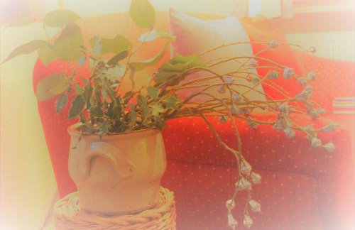 Marie-Theres - Foto 38