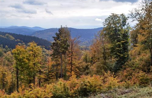 Sovanova Domki w Górach Sowich z Tarasem i Widokiem - Foto 48