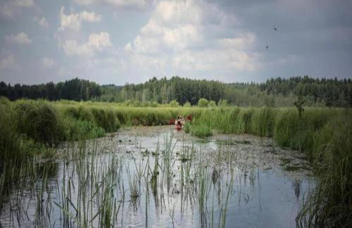 Peaceful Retreat by the Lake - Foto 57