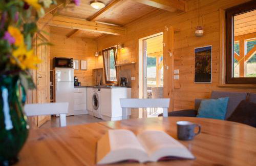 Szalejówka Domki - Foto 48