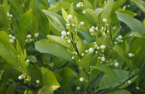 Villa Au Bain Marie - Foto 56