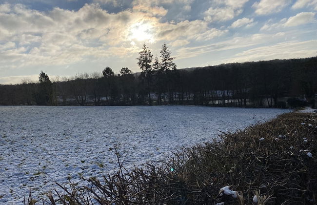 Private and Secluded Cabin in Rowfant - Foto 16