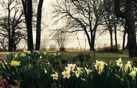 Rolling Oaks Retreat on Eufaula Lake, OK - Foto 13