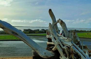 Mobil Home Moderne de 40m2 TOUT CONFORT Camping SIBLU Les CHARMETTES 785 La Palmyre Les Mathes - Foto 30