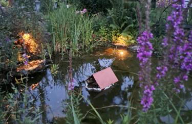 Schwarzwaldmarie - Foto 41