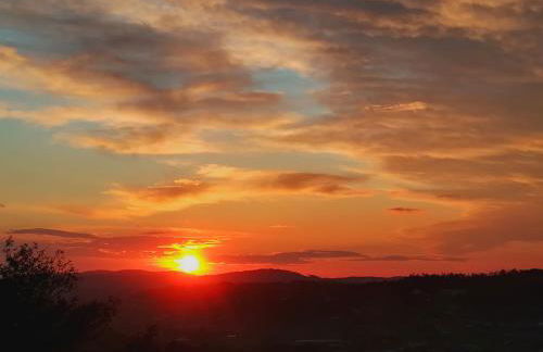 Quinta de S. Vicente 317 - Foto 74