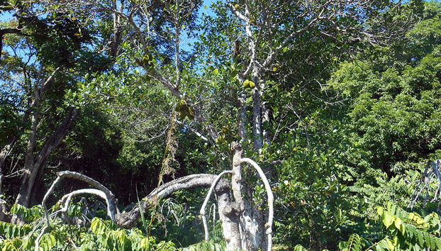 Domaine de Florette - Photo 3