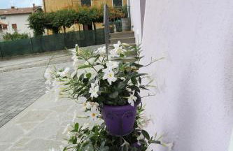 Casa delle Corti - Photo 23