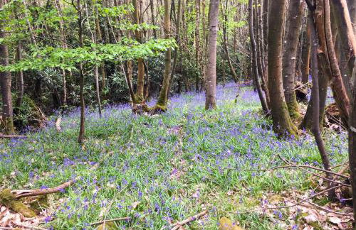 Ravenclaw Hall - Foto 41