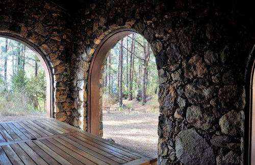 Monte frio de Tenerife - Foto 11