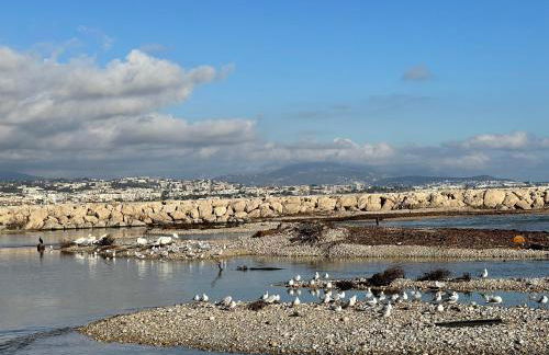 VILLENEUVE LOUBET PLAGE- Entre NICE et CANNES - Foto 10