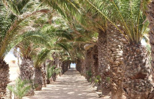 Pé n' Areia Beach House Porto Santo - Foto 42