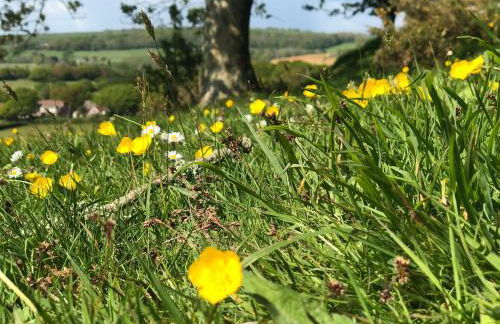 Queen Bower Farm Lodge - Foto 66