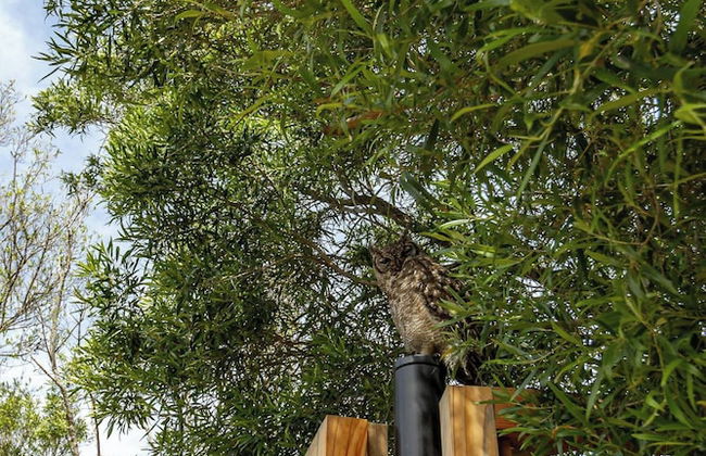 Luxury Eco Villa, Hout Bay, Cape Town,south Africa - Photo 31