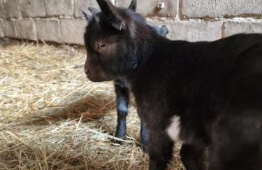 Mana Village - Jacuzzi & Sauna - Foto 70