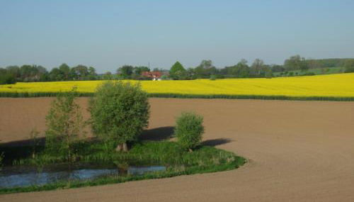 Haus Jenny, Wohnung E3b, Sonne rundum - Foto 4, Garden view